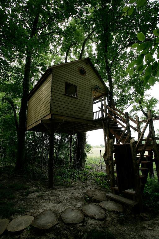 La Cabane Aux Secrets - Au Milieu De Nulle Part Outines Pokoj fotografie